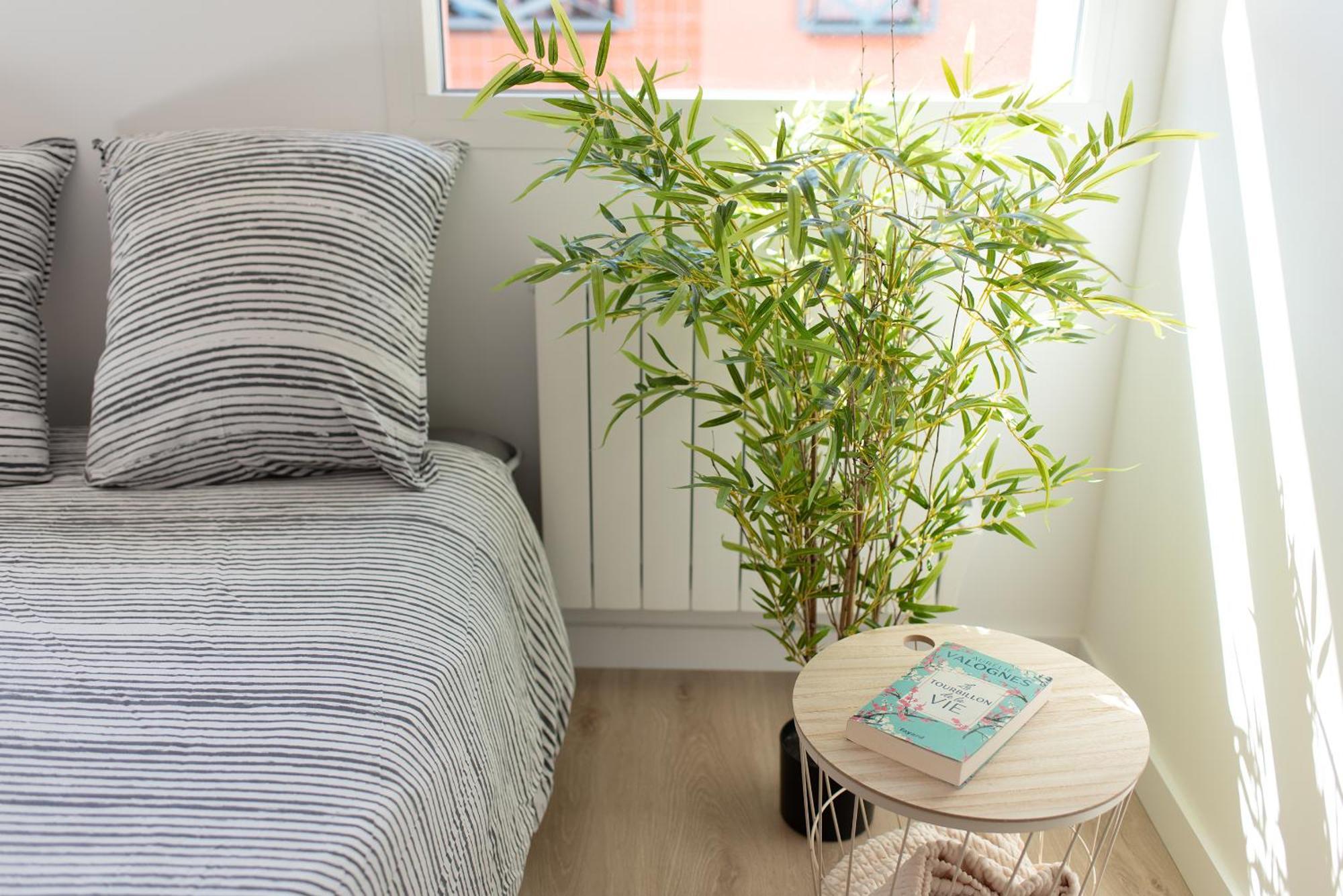 T2 Avec Parking Gratuit - Proximite Gare Apartment Toulouse Exterior foto